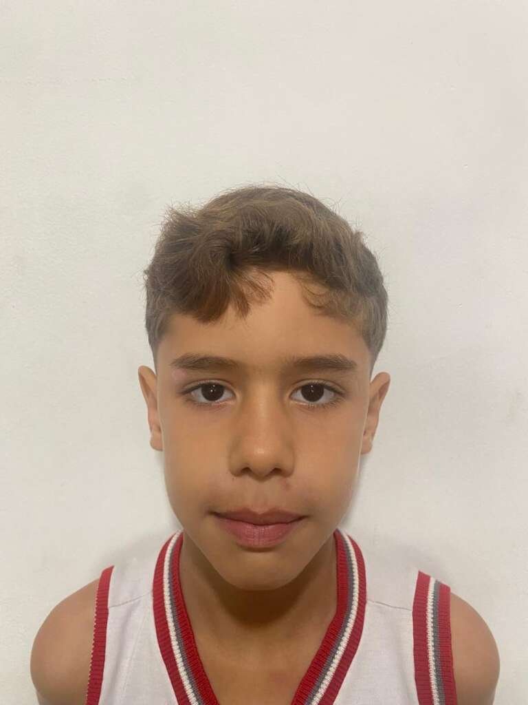 ARTUR PELLICIONI SERAFINI