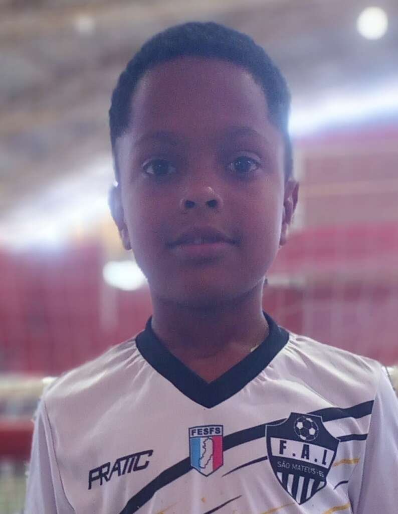 VICTOR HUGO VIEIRA ENDLICH